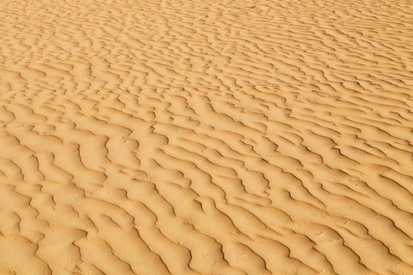 In oman the old desert and the empty quarter abstract  texture l — Stock Photo, Image