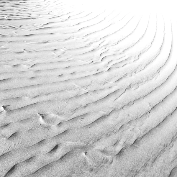 In oman the old desert and the empty quarter abstract  texture l — Stock Photo, Image