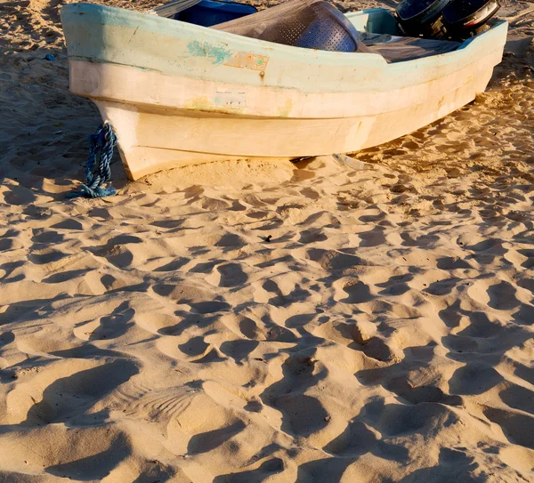 En oman boat en la costa y gaviota cerca del océano — Foto de Stock