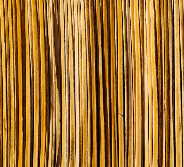 In oman abstract  texture of a bamboo wall background — Stock Photo, Image