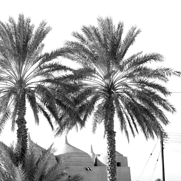 Em oman muscat a antiga mesquita minarete e religião no céu claro — Fotografia de Stock