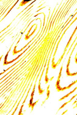 kirli soyulmuş boya kahverengi kırmızı tırnak