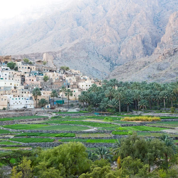 In oman the old  abandoned village — Stock Photo, Image
