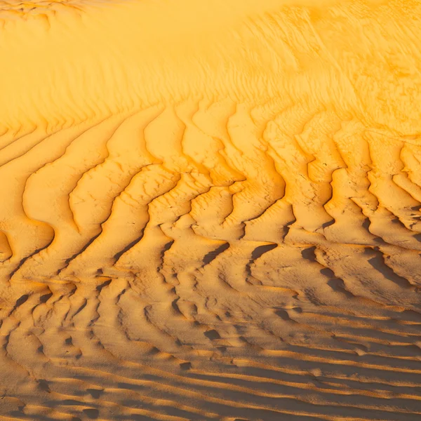 In oman the old desert and the empty quarter abstract  texture l Royalty Free Stock Images