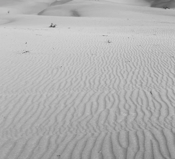 En oman viejo desierto frotar al khali el cuarto vacío y al aire libre — Foto de Stock