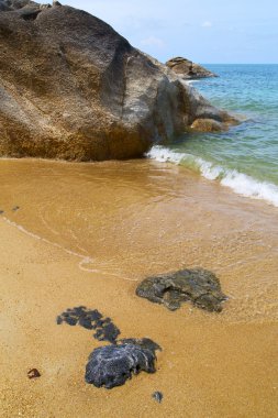Kho samui defne Asya Isle beyaz plaj t Çin Denizi 