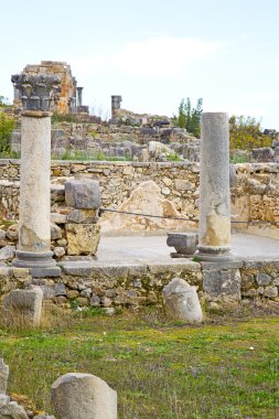 Volubilis Fas Afrika eski Roma bozulan anıt 