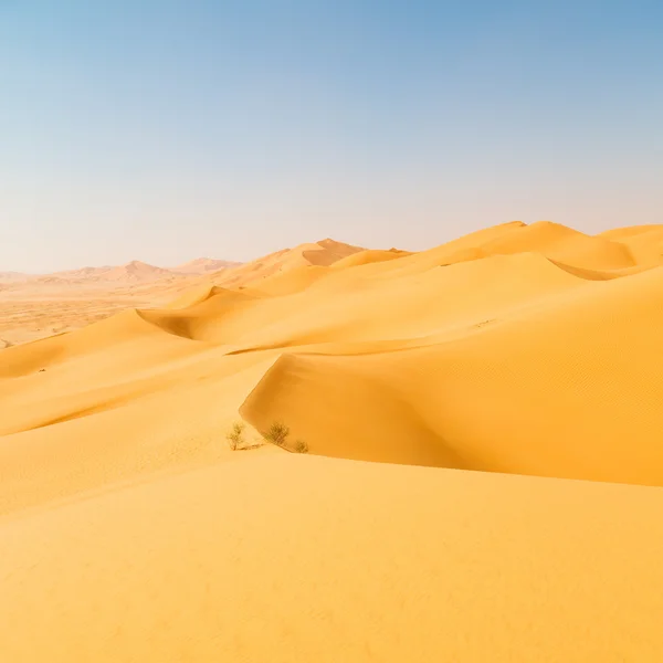 In oman old desert  rub al khali the empty  quarter and outdoor — Stock Photo, Image