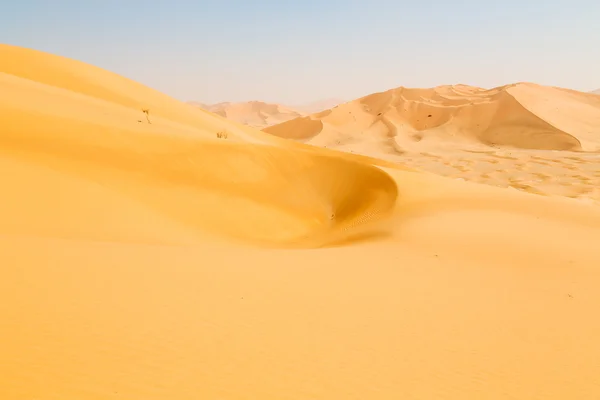 In oman old desert  rub al khali the empty  quarter and outdoor — Stock Photo, Image