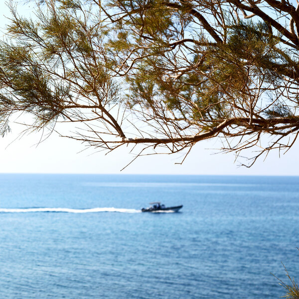 in greece  boat  near the coastline