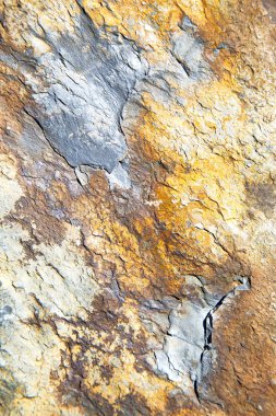   arka plan doku rengi