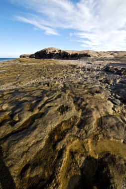   arka plan doku rengi