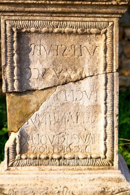   arka plan doku rengi