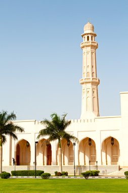   arka plan doku rengi