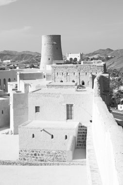   arka plan doku rengi