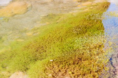 Umman eski nehir ve taş 