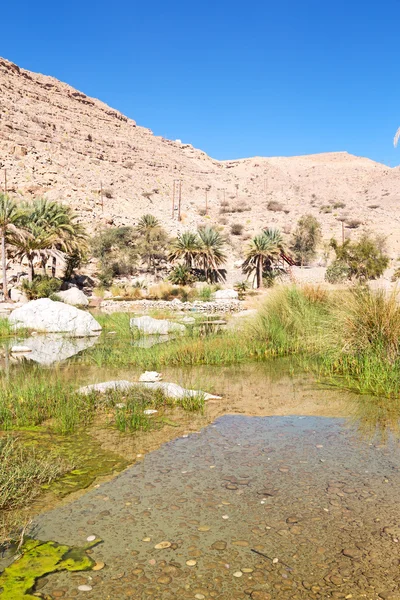 In  oman  water canyon — Stock Photo, Image