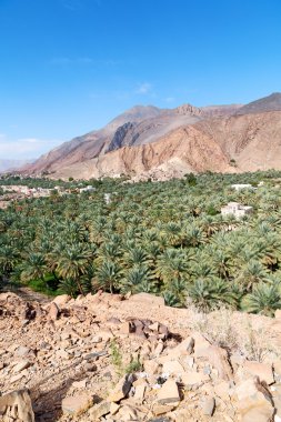 Umman eski terk edilmiş köy 