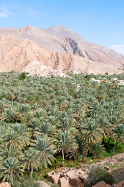 Umman eski terk edilmiş köy 