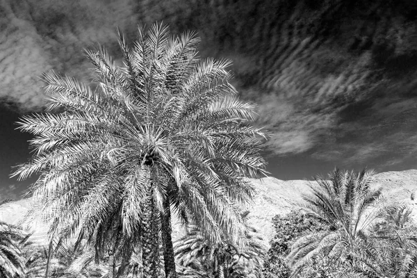 Em oman a antiga aldeia abandonada — Fotografia de Stock