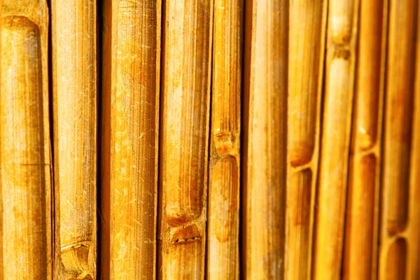 Cross bamboo  kho phangan bay   and south — Stock Photo, Image
