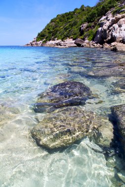 Kho tao defne Adası beyaz plaj ve Güney Çin Denizi