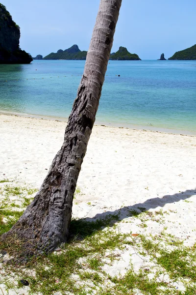 Asia kho phangan bay isle blanco beach tree rocks — Foto de Stock