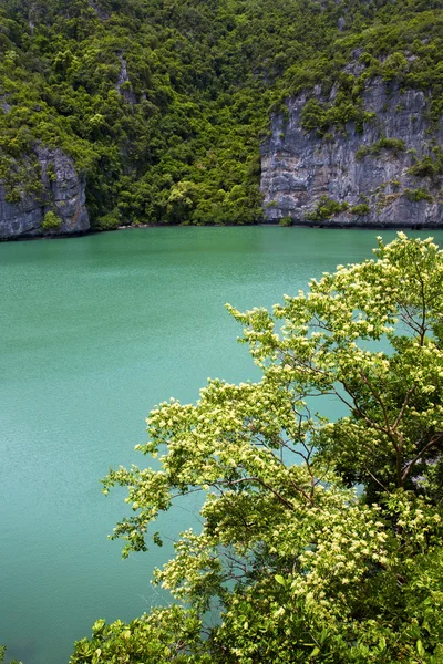 Sydkinesiska havet referat av en grön lagun och vatten — Stockfoto