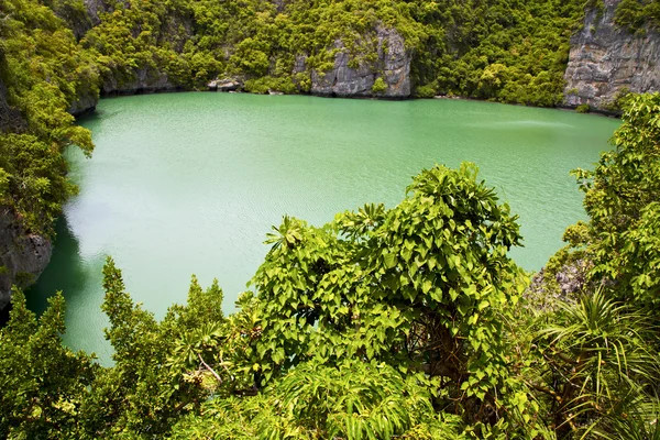 Т зеленой лагуны и воды — стоковое фото