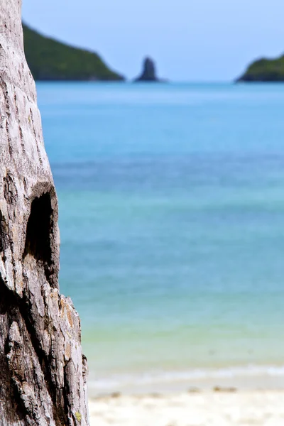 Tailandia kho tao laguna azul en el agua sur de China se —  Fotos de Stock