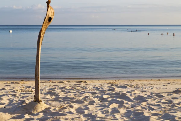 Stranden stenar sockerrör och south sea — Stockfoto