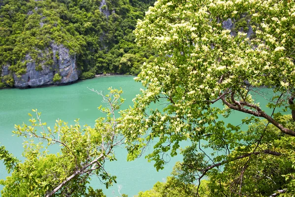 Kho tao baai abstracte groene lagune en water — Stockfoto