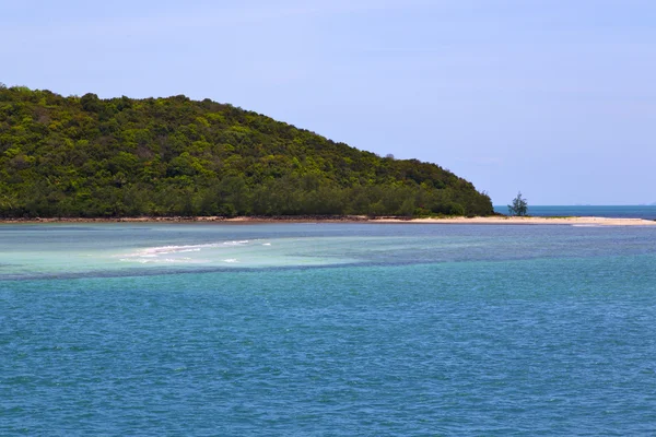 South china   thailand kho phangan     coastline green and tree — Stock Photo, Image