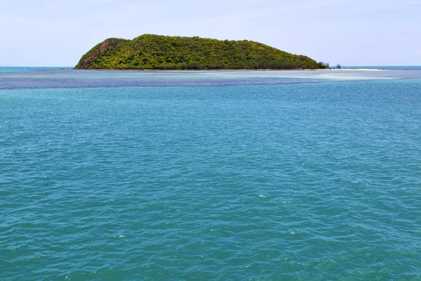 Thailand kho phangan   and tree — Stock Photo, Image