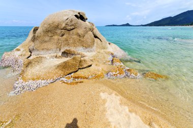Asya beyaz Isle beach Güney Çin Denizi kho Samui
