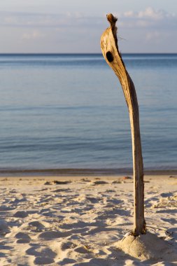 gündoğumu kho Samui Tayland defne Adası