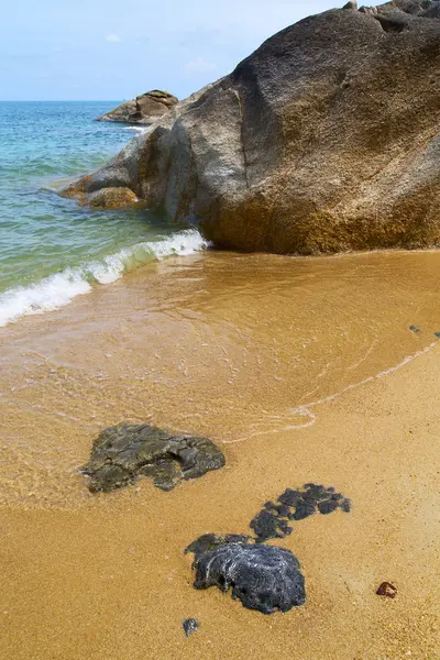 Kho Samui Bucht Asien Baum China Meer Insel weißer Strand — Stockfoto