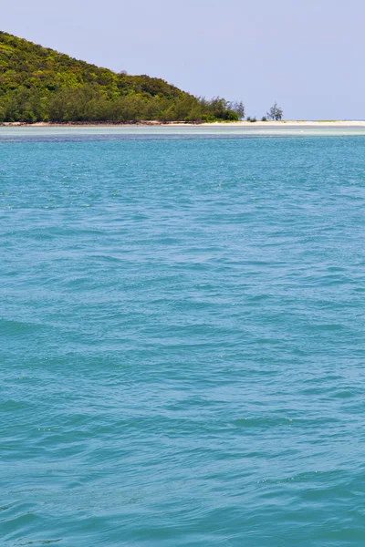 Sur kho phangan bahía costa laguna y árbol — Foto de Stock