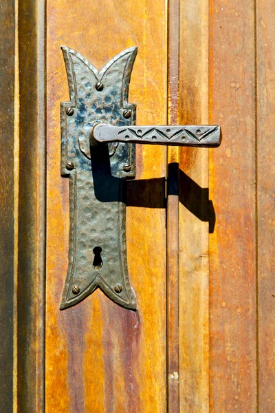 Castellanza blur  brown knocker in a  door c  wood italy   cross — Stock Photo, Image