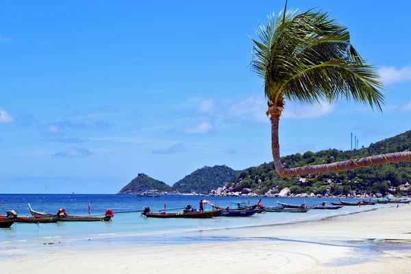 Isle asia en kho phangan tailandia — Foto de Stock
