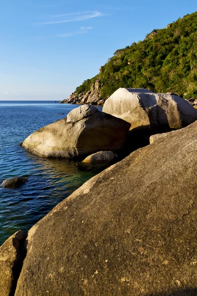 Stein in der thailändischen kho tao bay Abstrakt eines blauen l — Stockfoto