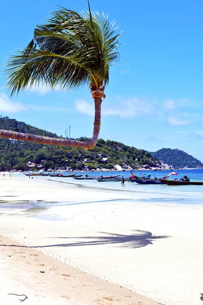 Stein in thailand kho tao blaue lagune im wasser südchina se — Stockfoto