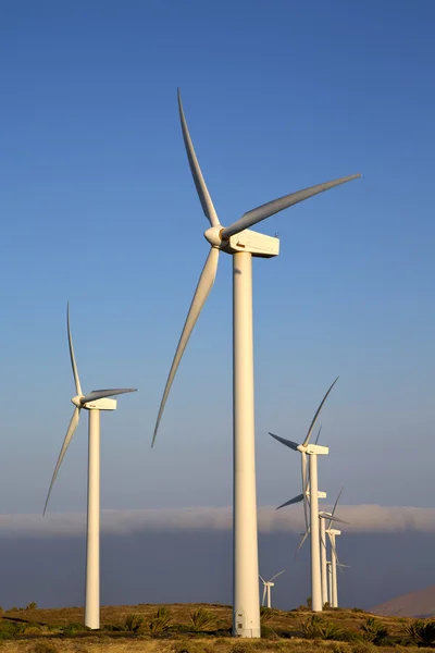 Lanzarotes Spanien Afrika vindkraft turbiner och himlen — Stockfoto