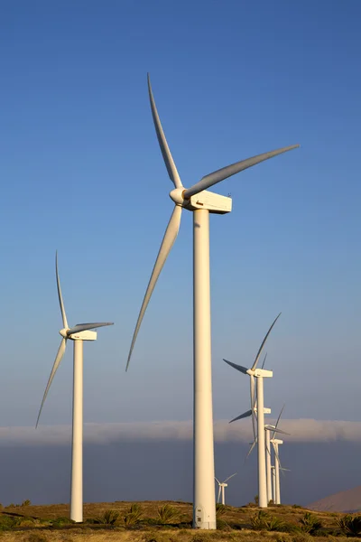 De lanzarote espagne afrique éoliennes et le ciel — Photo