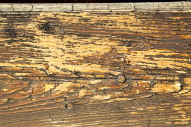  Mozzate paslı pirinç kahverengi tokmağı N metal ahşap İtalya lomb içinde