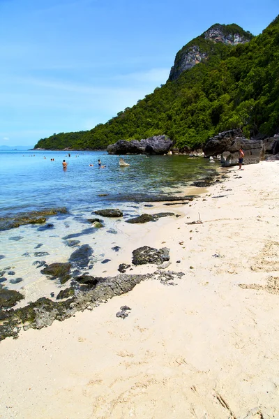 Asia in   bay the  koh phangan  t   thailand   south china   s — Stock Photo, Image