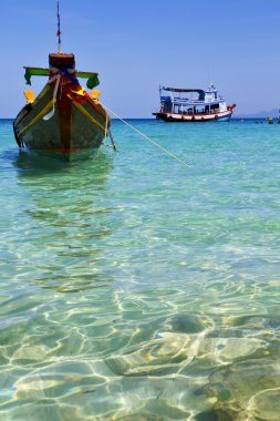 Tayland ve Güney Asya kho tao bay beyaz plaj