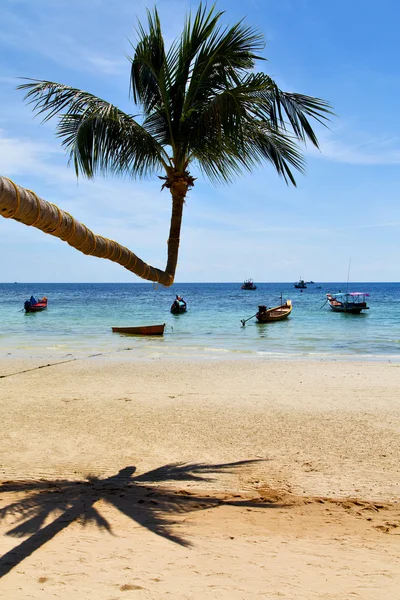 Sol ligt asia en el kho tao bahía rocas barco tailandia — Foto de Stock