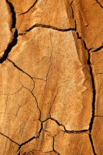 Textura abstracta de una arena seca quebrada y líquenes —  Fotos de Stock