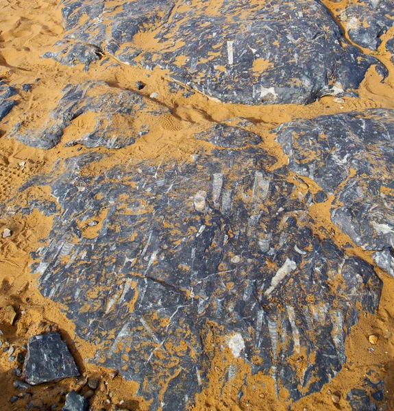 Viejo fósil en el desierto de morocco sahara y roca cielo de piedra —  Fotos de Stock